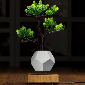 új fa alapú mágneses lebegés alsó légy bonsai edényes ültetvényes